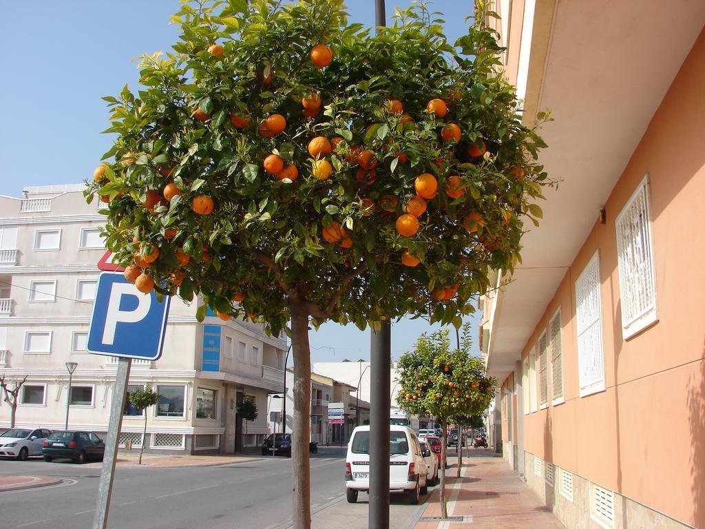 Apartamento Formentera Apartman Formentera de Segura Kültér fotó
